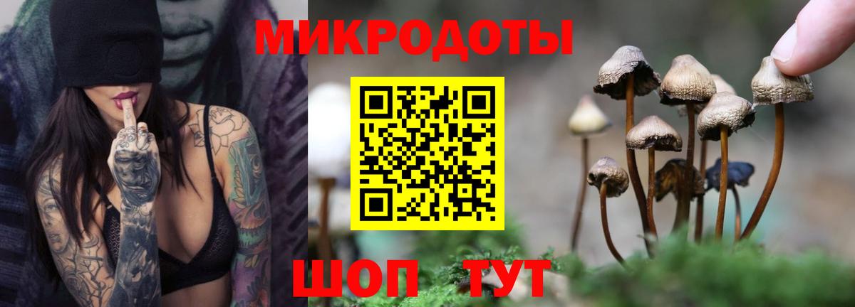 Псилоцибиновые грибы ЛСД  Вход с VPN  Черняховск 